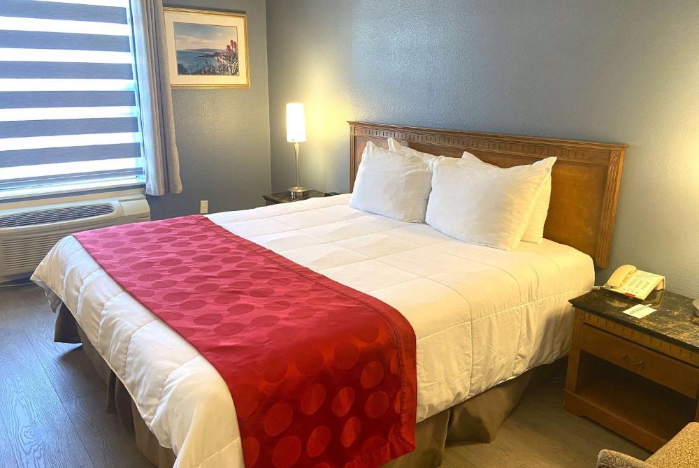 King Room- Non-Smoking interior